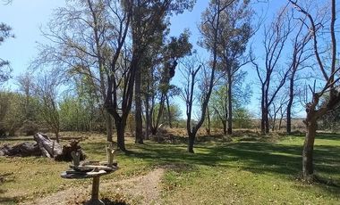 Venta Terreno Oliveros