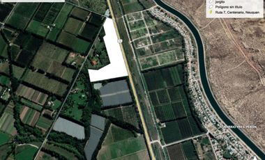 VENTA de Chacra sobre ruta 151 - Zona Cinco Saltos - Oportunidad