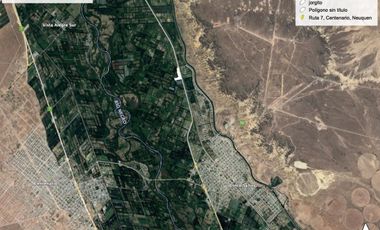 VENTA de Chacra sobre ruta 151 - Zona Cinco Saltos - Oportunidad