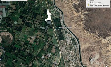 VENTA de Chacra sobre ruta 151 - Zona Cinco Saltos - Oportunidad