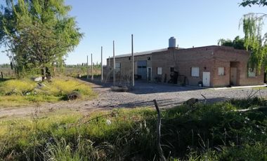 Chacra - Venta - Excelente ubicación - General Roca - R006