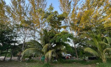 TERRENO EN VENTA EN MÉRIDA YUCATÁN EN TEYA KANASÍN A UN LADO DEL TREN MAYA