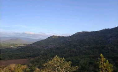 SE VENDE DOS HECTAREA DE TERRENO EN LA PINTADA PENONOME COCLE
