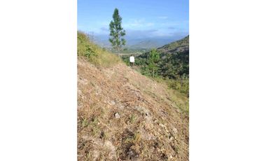 SE VENDE DOS HECTAREA DE TERRENO EN LA PINTADA PENONOME COCLE