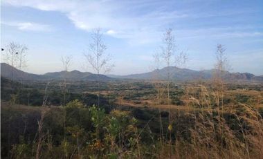 SE VENDE DOS HECTAREA DE TERRENO EN LA PINTADA PENONOME COCLE