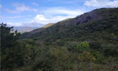SE VENDE DOS HECTAREA DE TERRENO EN LA PINTADA PENONOME COCLE