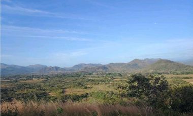SE VENDE DOS HECTAREA DE TERRENO EN LA PINTADA PENONOME COCLE