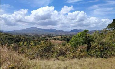 SE VENDE DOS HECTAREA DE TERRENO EN LA PINTADA PENONOME COCLE