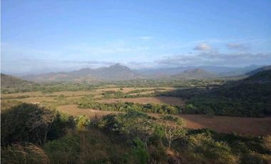 SE VENDE DOS HECTAREA DE TERRENO EN LA PINTADA PENONOME COCLE