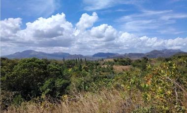 SE VENDE DOS HECTAREA DE TERRENO EN LA PINTADA PENONOME COCLE