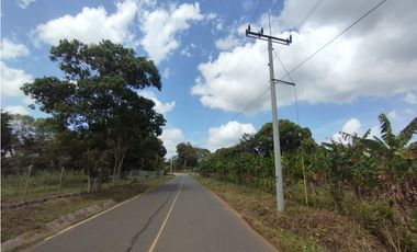 Se Vende Finca de 5.8 HAS en Corozales-La Chorrera (DR)