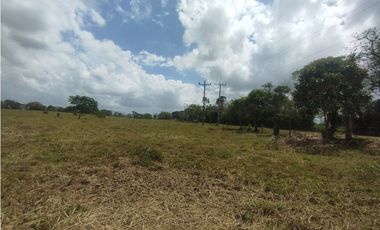 Se Vende Finca de 5.8 HAS en Corozales-La Chorrera (DR)