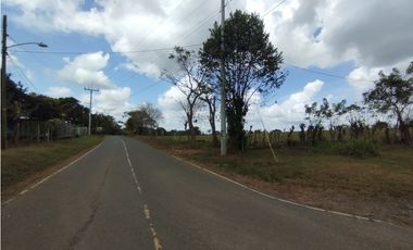 Se Vende Finca de 5.8 HAS en Corozales-La Chorrera (DR)