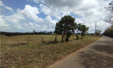 Se Vende Finca de 5.8 HAS en Corozales-La Chorrera (DR)