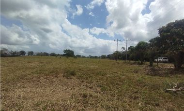 Se Vende Finca de 5.8 HAS en Corozales-La Chorrera (DR)