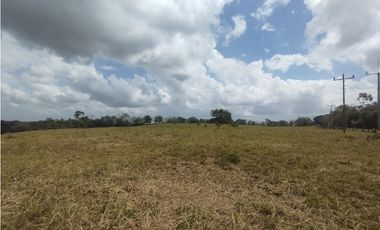Se Vende Finca de 5.8 HAS en Corozales-La Chorrera (DR)