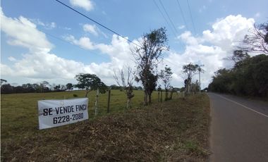 Se Vende Finca de 5.8 HAS en Corozales-La Chorrera (DR)