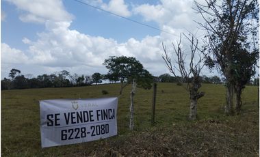 Se Vende Finca de 5.8 HAS en Corozales-La Chorrera (DR)