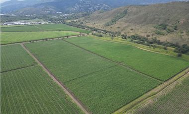 VENTA LOTE 119,037 MT2 EN ARROYOHONDO YUMBO VALLE