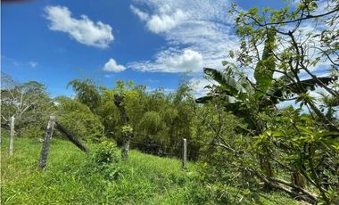 SE VENDE FINCA EN ALCALA  CON 8 CUADRAS