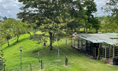 SE VENDE FINCA EN ALCALA  CON 8 CUADRAS