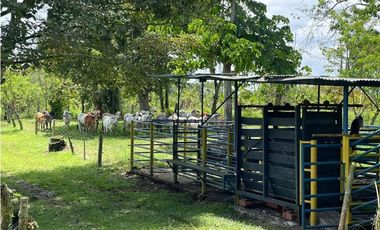 SE VENDE FINCA EN ALCALA  CON 8 CUADRAS