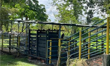 SE VENDE FINCA EN ALCALA  CON 8 CUADRAS