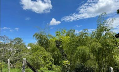 SE VENDE FINCA EN ALCALA  CON 8 CUADRAS