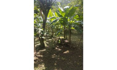 VENTA FINCA ANOLAIMA AMOBLADA