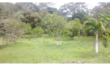 VENTA FINCA ANOLAIMA AMOBLADA