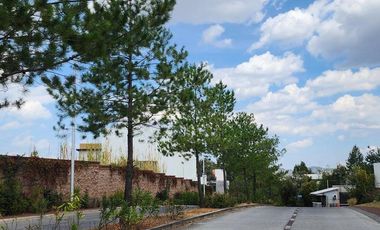 Terreno en Venta Bosque Monarca Avenida principal