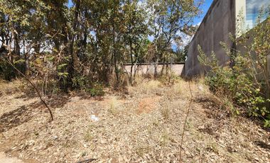 Terreno en Venta Bosque Monarca Avenida principal