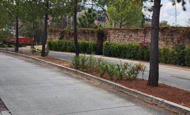 Terreno en Venta Bosque Monarca Avenida principal
