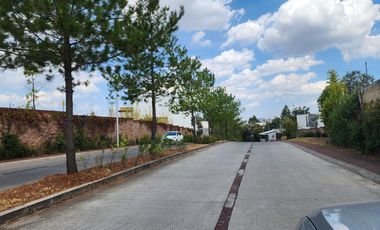 Terreno en Venta Bosque Monarca Avenida principal