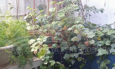 Casa en arriendo en SAN BERNARDO