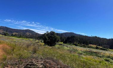 Parcela en venta en RÁNQUIL