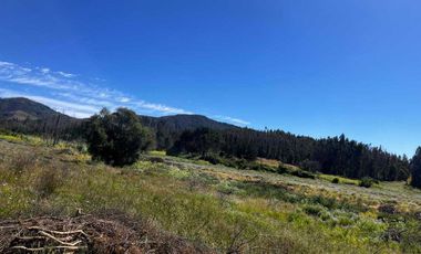 Parcela en venta en RÁNQUIL