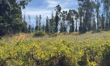 Parcela en venta en RÁNQUIL