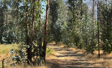 Parcela en venta en RÁNQUIL