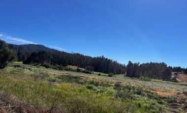 Parcela en venta en RÁNQUIL