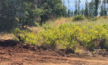 Parcela en venta en RÁNQUIL