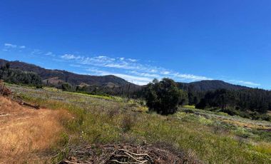 Parcela en venta en RÁNQUIL