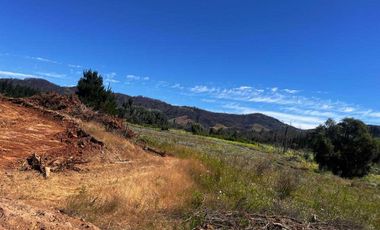 Parcela en venta en RÁNQUIL