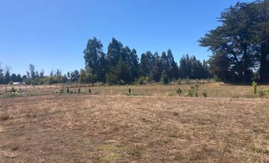 PARCELA 10.000 M2  CAMINO  SAN ANTONIO LOS ANGELES