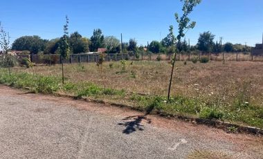 PARCELA 10.000 M2  CAMINO  SAN ANTONIO LOS ANGELES