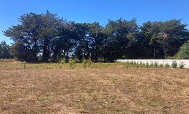 PARCELA 10.000 M2  CAMINO  SAN ANTONIO LOS ANGELES