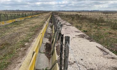 CAMPO FEEDLOT VENTA DIVERSOS USOS COMERCIALES PUEBLO MUÑOZ