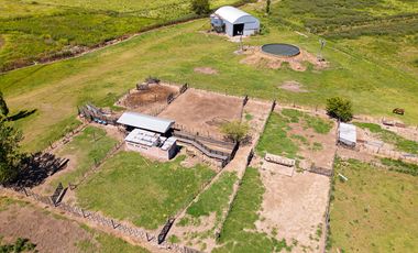 CAMPO FEEDLOT VENTA DIVERSOS USOS COMERCIALES PUEBLO MUÑOZ