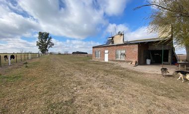 CAMPO FEEDLOT VENTA DIVERSOS USOS COMERCIALES PUEBLO MUÑOZ