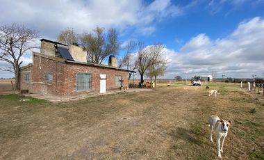 CAMPO FEEDLOT VENTA DIVERSOS USOS COMERCIALES PUEBLO MUÑOZ